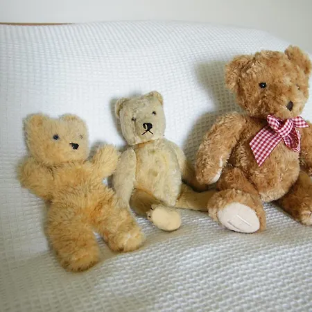 Bear Manor Lacu Muizina Homestay *
